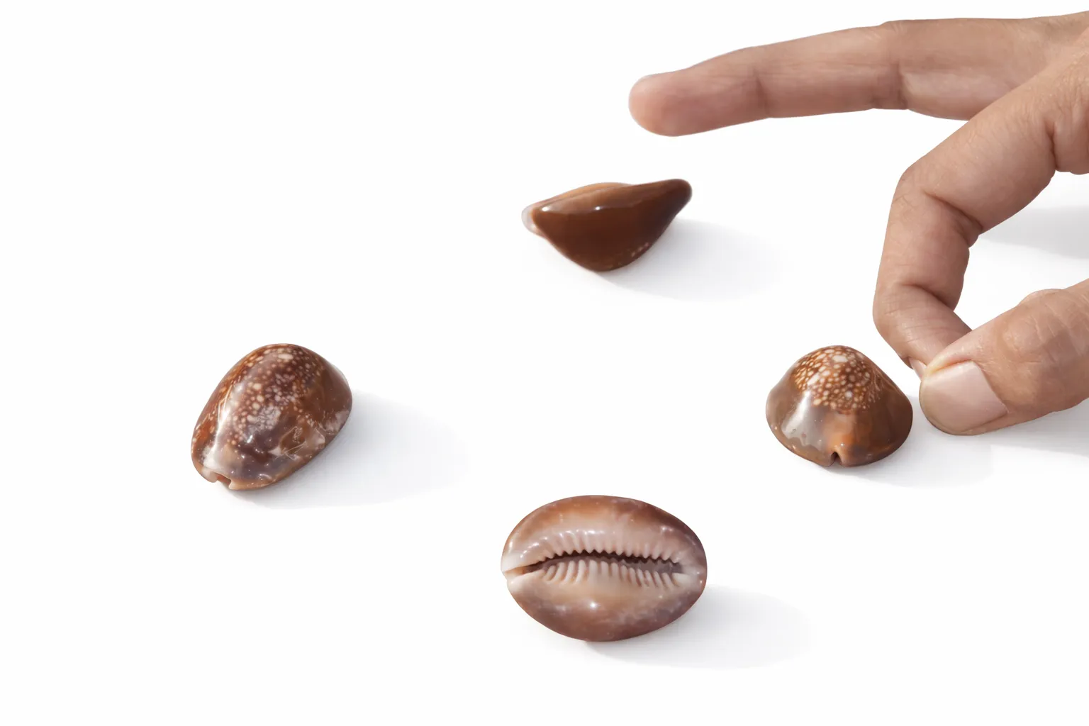 Skill-based Kodi Game